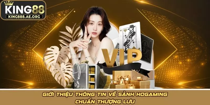 Giới thiệu thông tin về sảnh HoGaming chuẩn thượng lưu